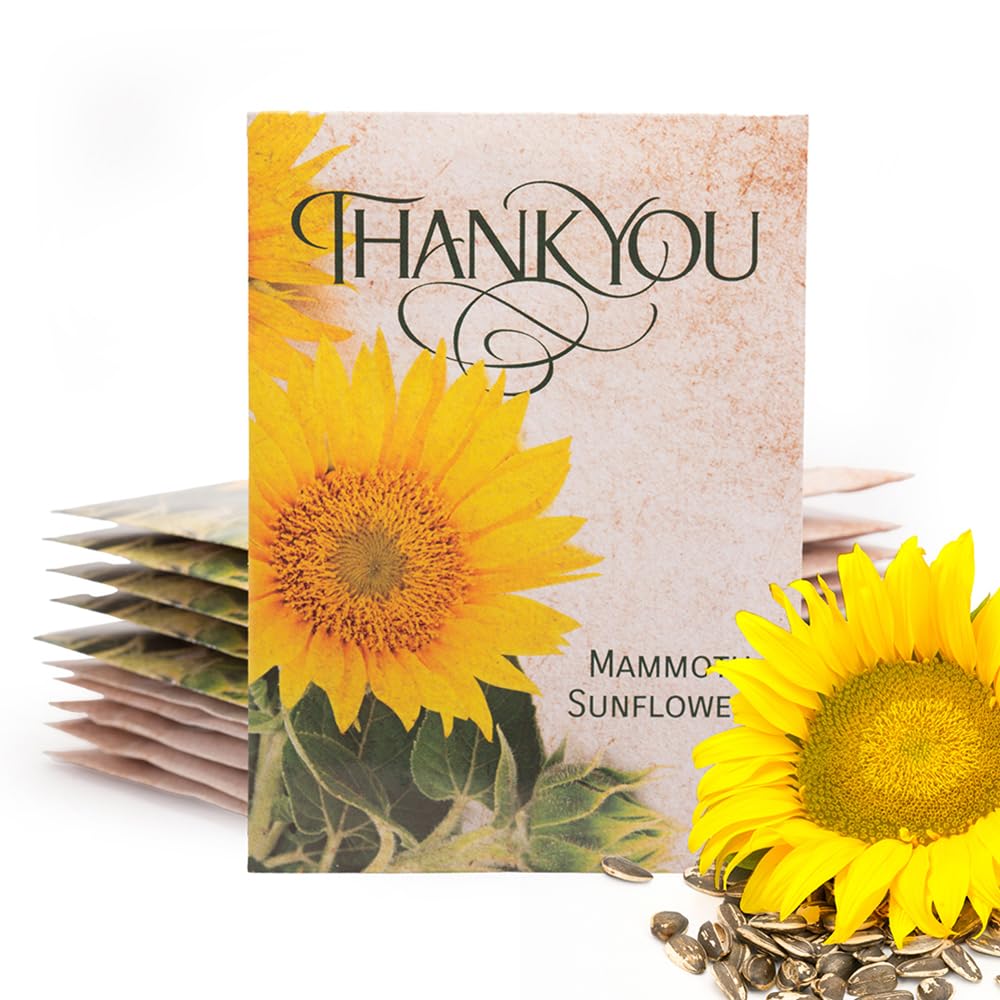 Bentley Thank You Packet - Sunflower Seeds - Pack of 25 - Perfect Eco-Friendly Thank You Gift - Non GMO