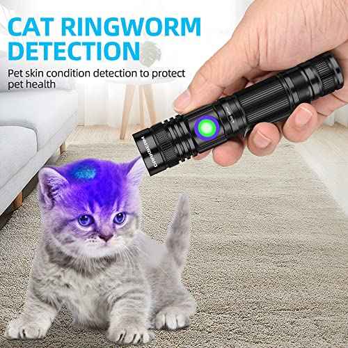 DARKBEAM UV Flashlight 365nm & 395nm Blacklight Rechargeable USB, Wood¡¯s Lamp Ultraviolet Black Light LED Portable - Detector for Pet Cat Urine, Stains, Resin Curing, Uranium Glass, 2 Pack