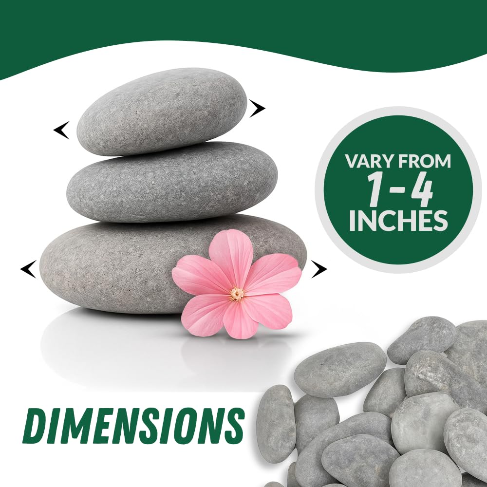 PGN 20 Large River Rocks for Painting - Stimulate Your Children’s Creativity with Our Painting Rocks for Kids - Flat and Smooth - Fun & Engaging Rock Painting with The Family - 2-4 Inches