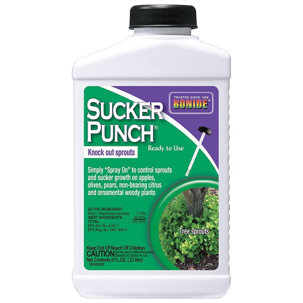 Bonide (BND276) - Ready to Use Sucker Punch, Stop Suckers Sprouting from Roots and Pruning Cuts (8 oz.)