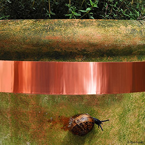 Adhesive Copper Foil Tape - Double-Sided Conductive - 0.25 inch (6.3 mm) - EMI and RF Shielding, Paper Circuits, Electrical Repairs, Grounding, Arts and Crafts, Home Interior (0.5 inch (12.7 mm))