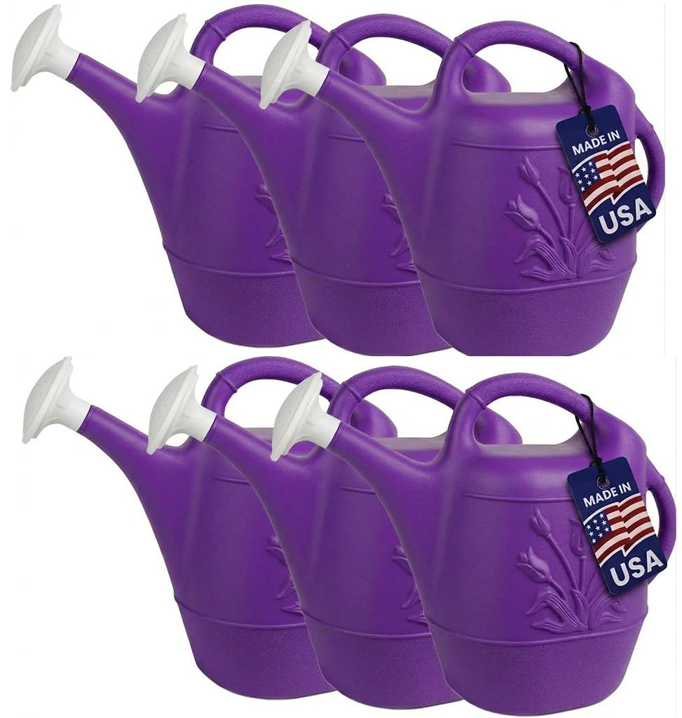 PMU 2 Gallon Watering Can - Garden Watering Can for Indoor & Outdoor Plants - Plastic Water Can with Detachable Sprinkler Head - Large Water Pot, Made in USA - Purple Pkg/6