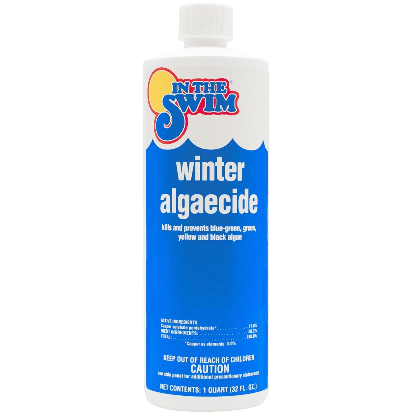 In The Swim Winter Swimming Pool Algaecide - 1 Quart