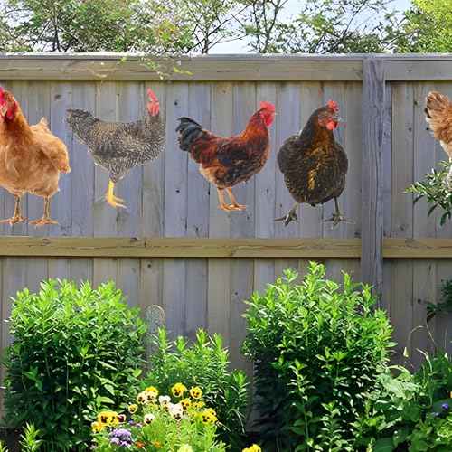 Chicken Wall Stickers, Farmhouse Hen Rooster Wall Decals, Chicken Art Background Decorative Stickers for Kitchen Dining Room Refrigerator Door