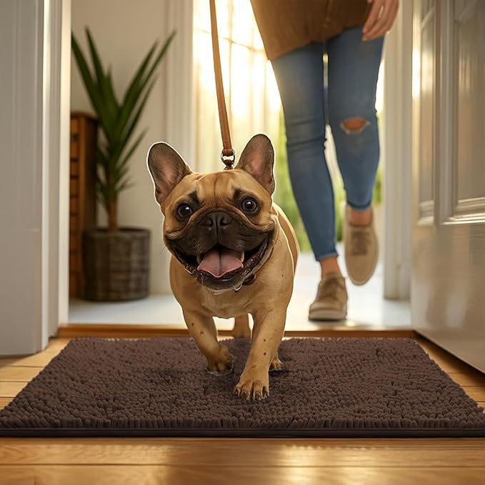MudGuard Mat™ Dog Door Mat for Muddy Paws, Super Absorbent Microfiber, Non-Slip Indoor Mat, Quick Dry Chenille Mud Mat for Dogs & Entryway, Washable, Choco 36" x 60"