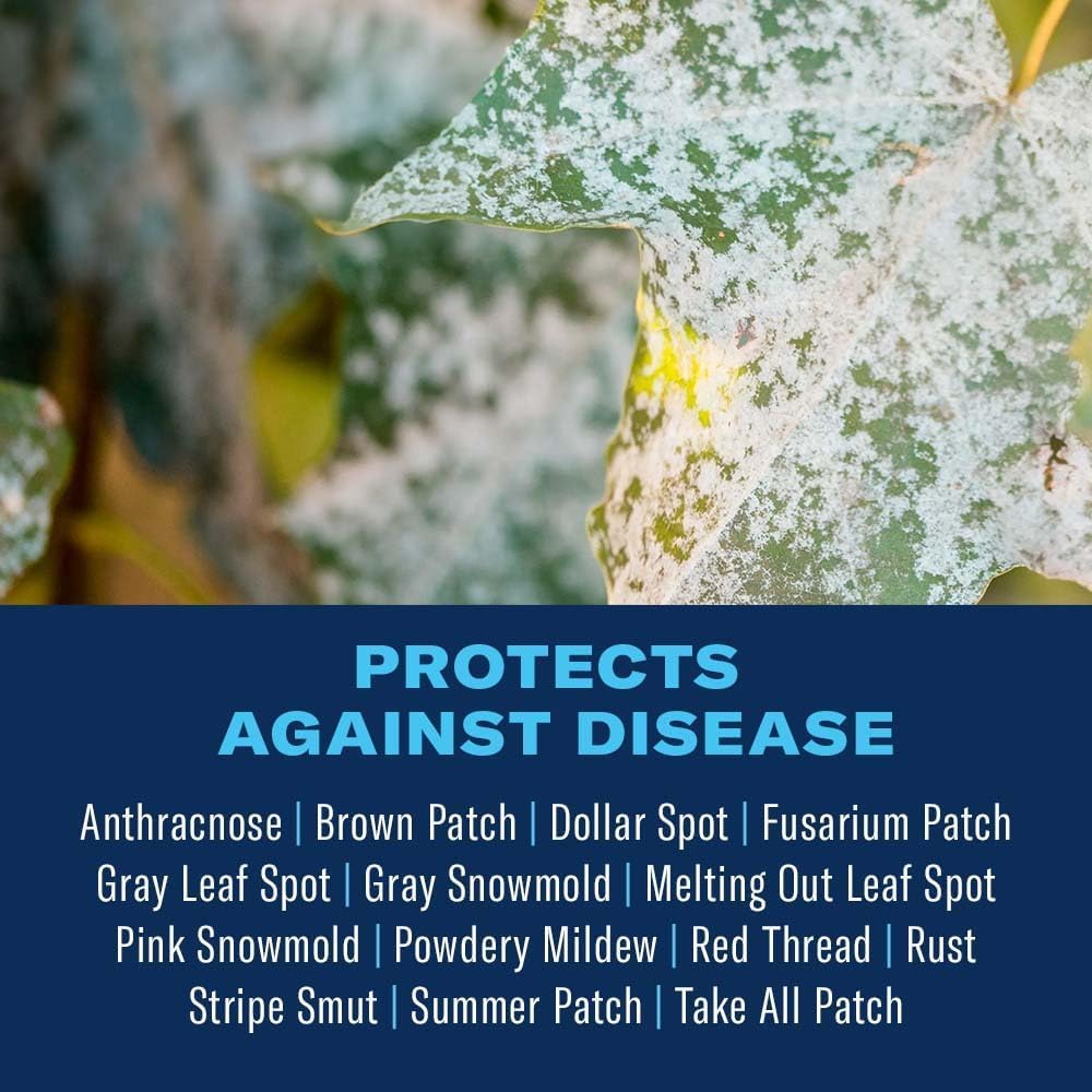 BioAdvanced Fungus Control for Lawns, Granules, 10 lb, Fungicide for Lawns