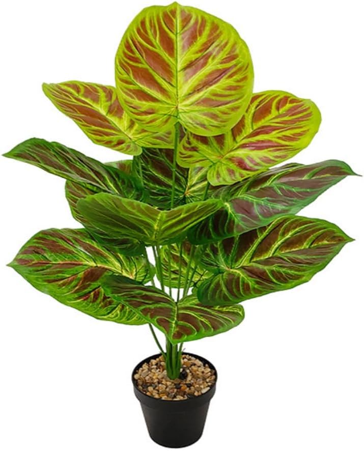 Artificial Purple Calathea Plant, Home Party Decoration, Purple Leaf Decor Artificial Plant Simulation Pot Bonsai Flower Ornament Hotel Room Desk Decorate(Green (No Flowerpot), 60cm)