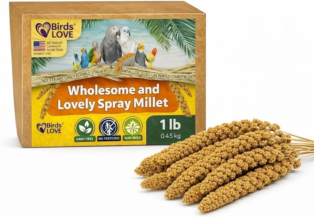Birds LOVE 1 lb Wholesome Spray Millet for Birds – USA Grown, Natural Sun-Dried Millet Sprays –Thick Clusters Bird Treat for Parakeets, Budgies, Cockatiels, Conures, Finches & Parrots
