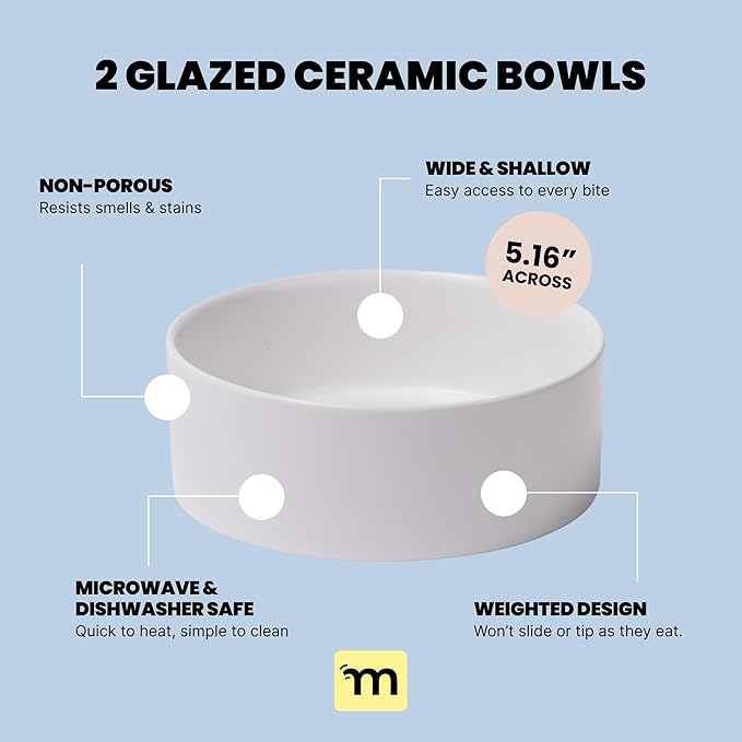 MalsiPree Dog Bowls Elevated & Pet Bowls - Small, Sand Beige - 45° Tilt Stand with Splash Guard - Dog Feeding Station with Ceramic Dishes for Food & Water