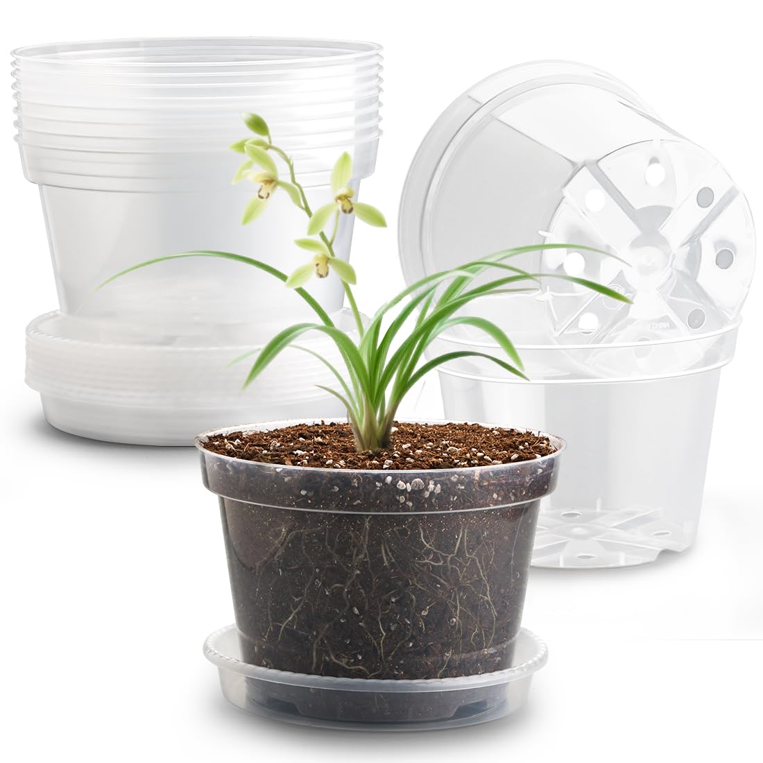RooTrimmer 12 Pack 8 Inch Clear Plant Pots with Saucers, Transparent Plastic Nursery Pots with Drainage Hole, Sturdy Garden Planter Pots, Planting Starter Pots for Indoor Outdoor