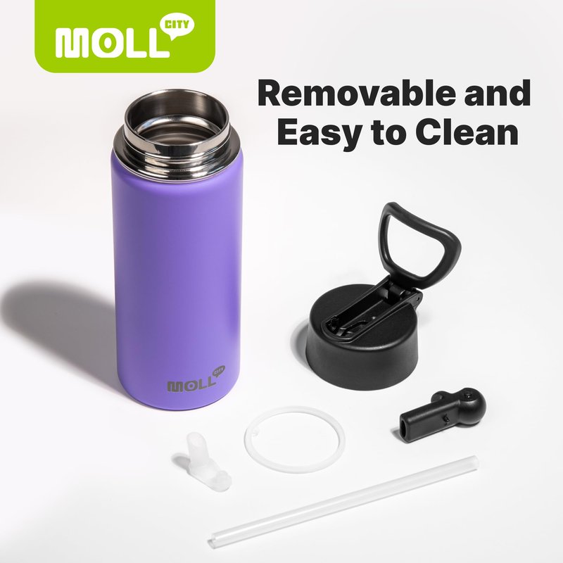 Mollcity 12 oz Water Bottle for Kids-Small Insulated Water Bottle with Straw-Stainless Steel Double Wall Vacuum Sports Water Bottles for School (Purple)