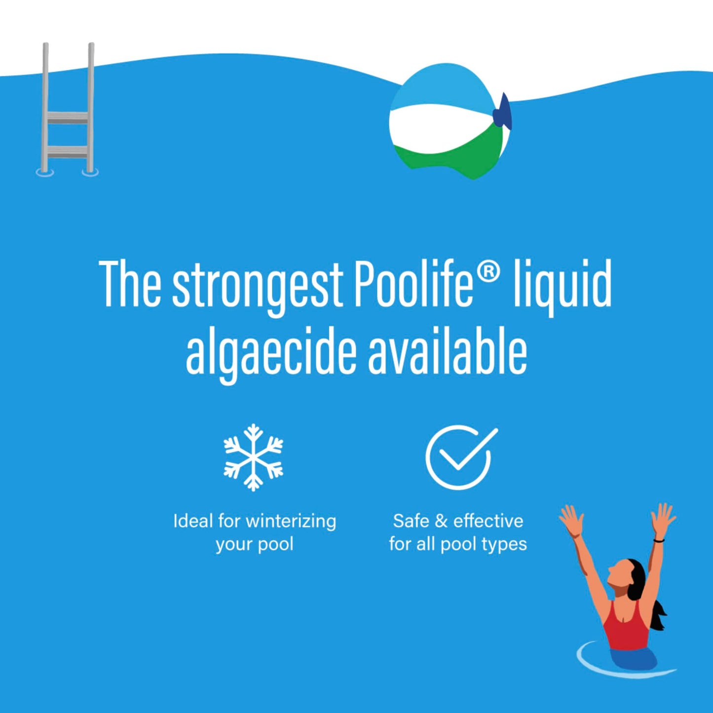 poolife Super Algae Bomb 60 (1 qt) (2 Pack)