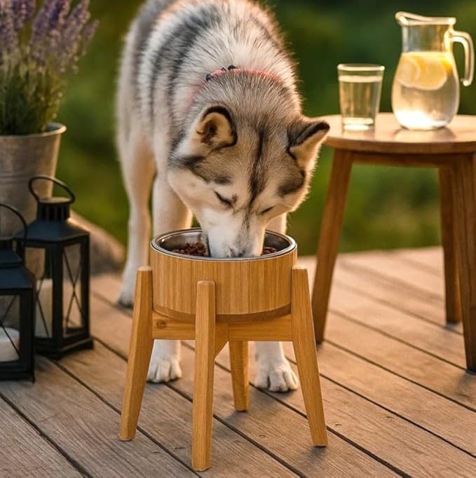 Raised Dog Bowl with Stand (12-inch) - Elevated Bamboo Food Bowl with Stainless Steel 304 Insert - Medium-to-Large Breeds Suitable