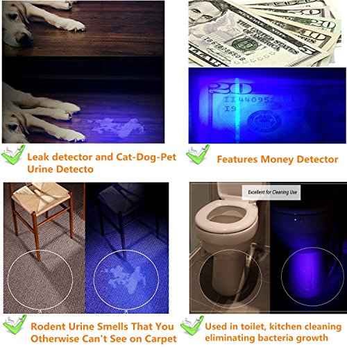 UV Flashlight BlackLight, DULEX 395 - 410nm UV Led Blacklight Flashlights and Rechargeable batteries Charger Set for Professional / Commercial Use