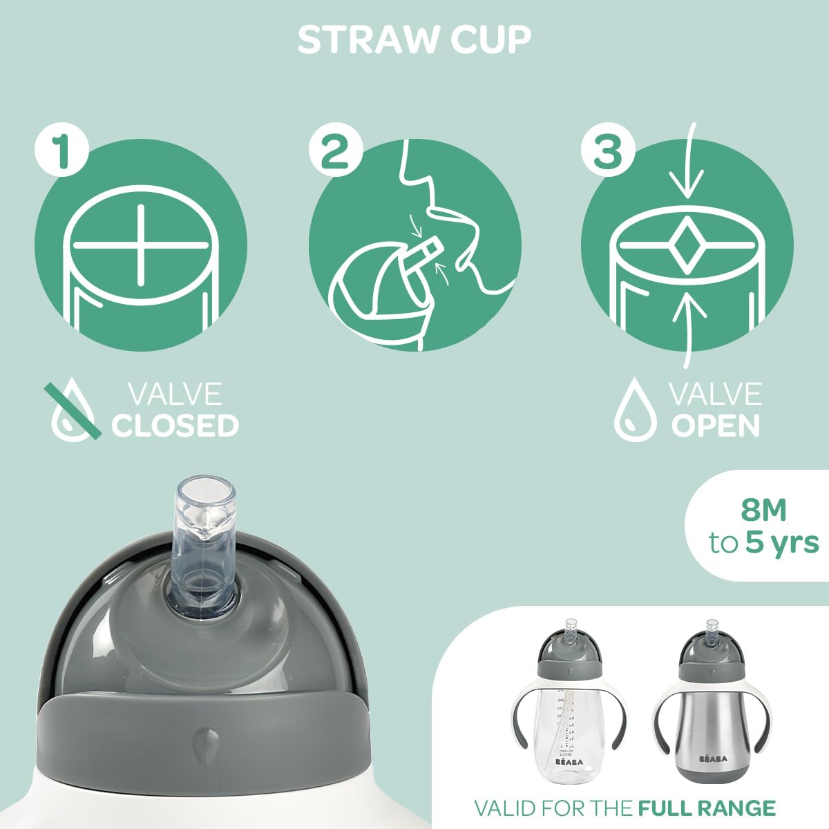 Beaba Stainless Steel Straw Sippy Cup, Insulated Toddler Cups Spill Proof with Removable Handles, Made with High Grade Stainless Steel, 8+ months, 8.5 oz (Rain)