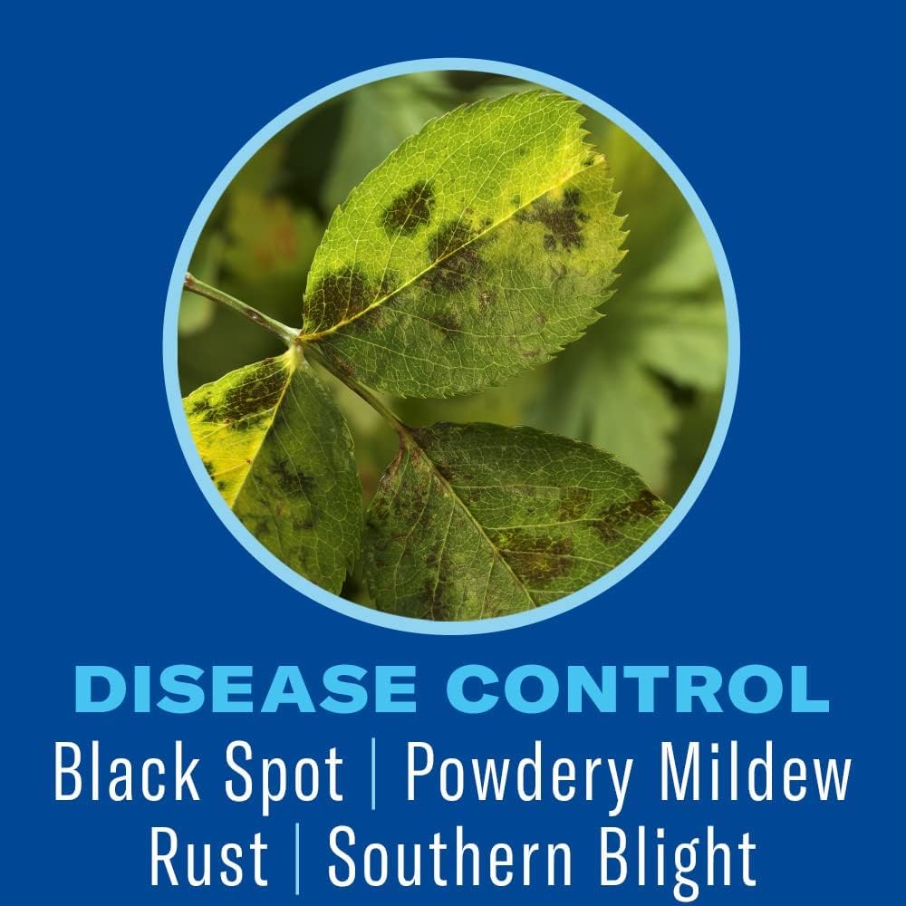 BioAdvanced Shrub Care Protect and Feed Granules - Kills Harmful Listed Insects - Controls Listed Diseases - Insect Control, Disease Control, and Fertilizer - Up to 6 Weeks Protection - 10 lb Bottle