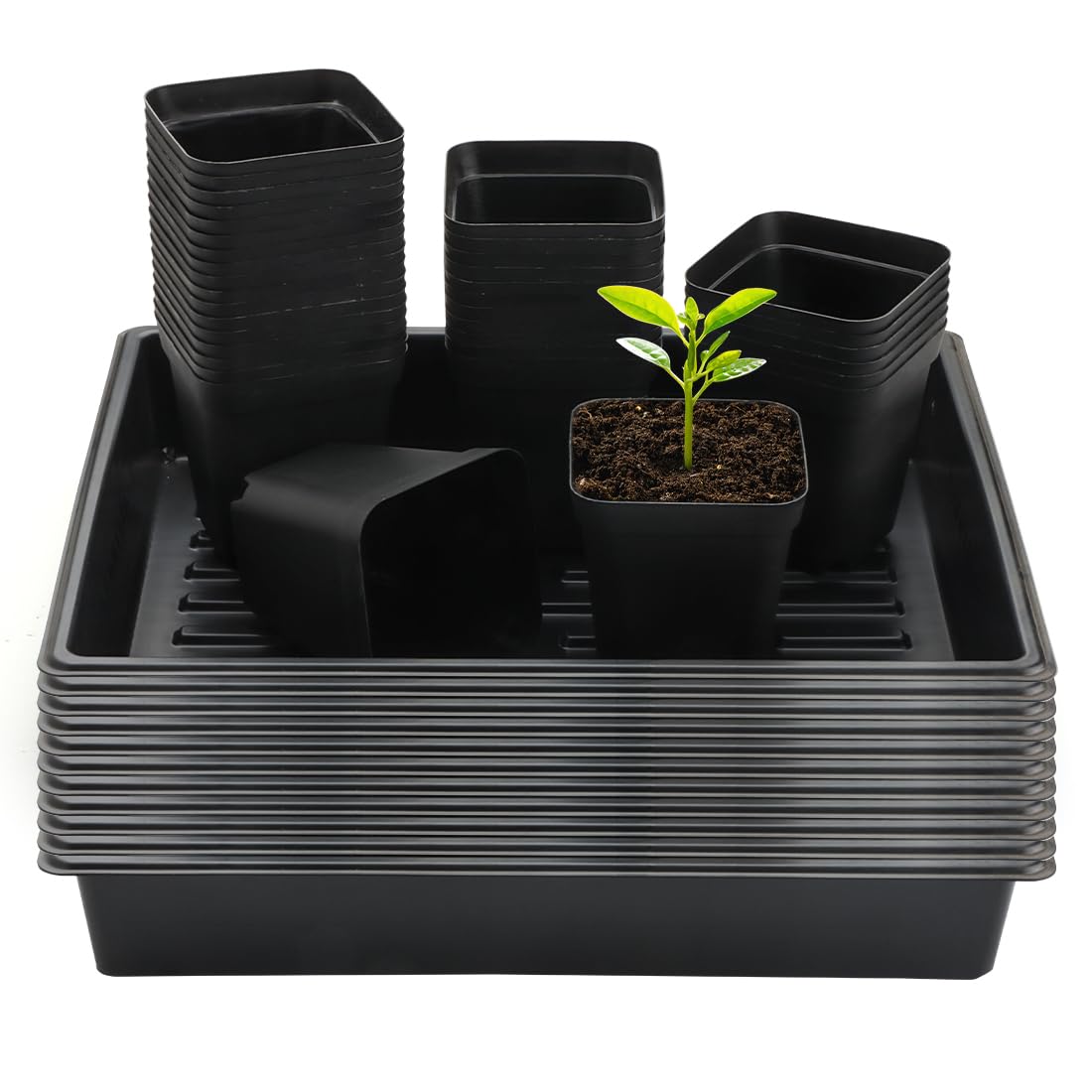 RooTrimmer 4 inch (10CM) Square Nursery Pots 120pcs, Sturdy Seedlings Trays 10 Pcs, Seeds Starter Germination Tray, Microgreening Planter Nursery Propagation 10 Sets