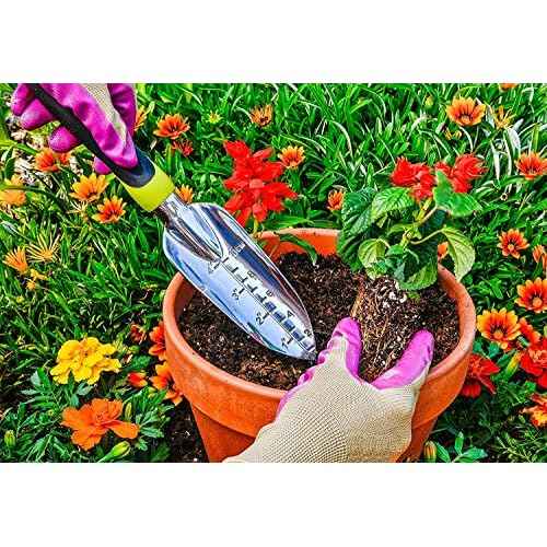 Edward Tools Transplanter Trowel - Bend Proof and Rust Proof Aluminum - Most Comfortable Transplanter with Ergo Handle - Engraved Depth Guide