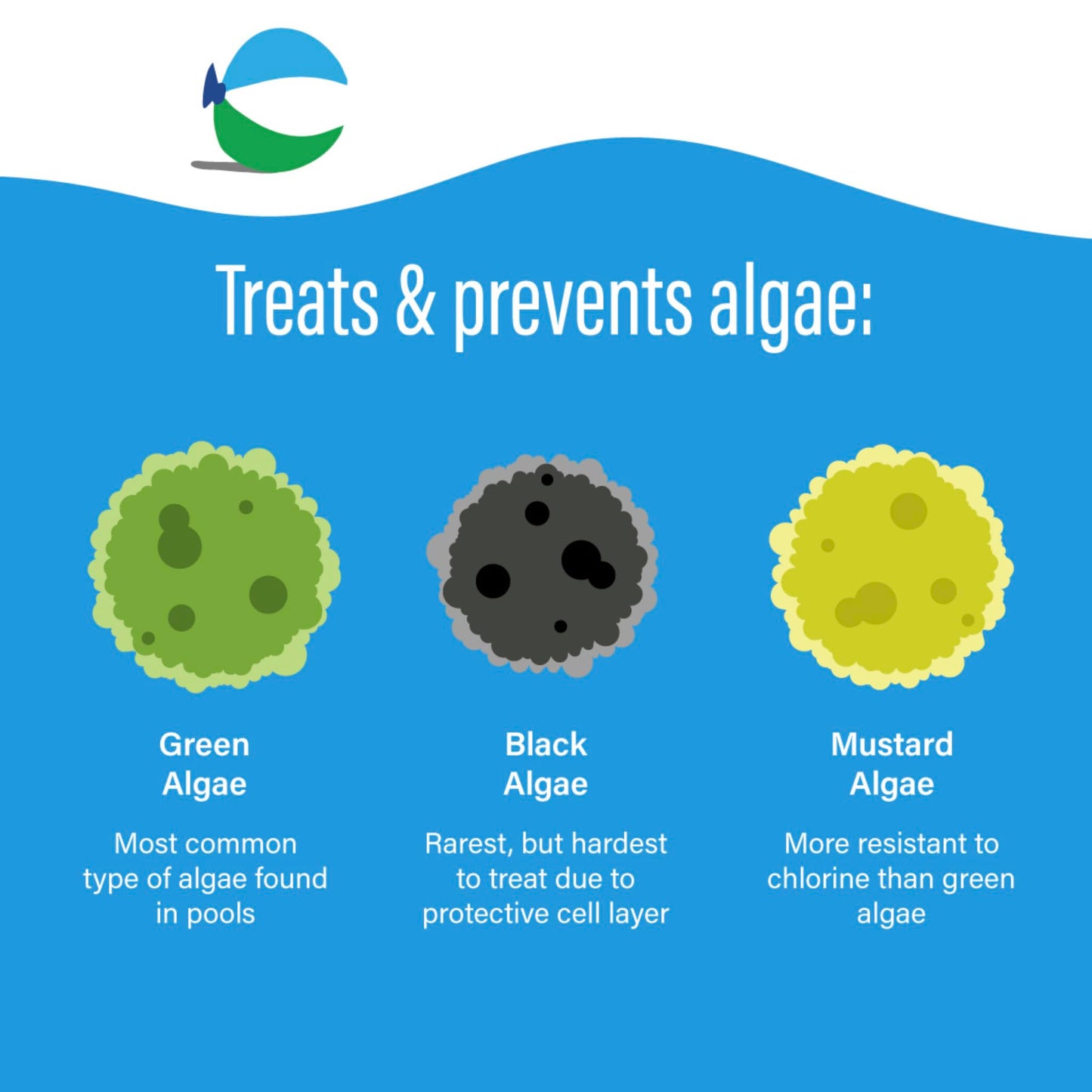 Poolife Algaecide 90 1QT