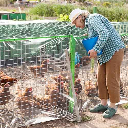 8x10ft Clear Plastic Tarps Heavy Duty Waterproof, 14 Mil PVC Vinyl Clear Tarps with Grommets, Winter Pation Porch Enclosure Panel, Transparent Rainproof Canopy Fabric for Outdoor Porche, Chicken Coops