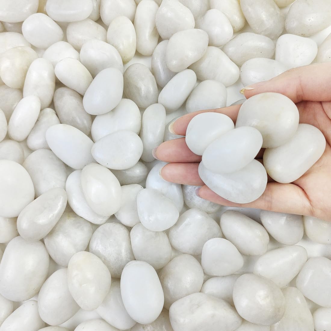 FANTIAN 5lbs White Pebbles for Indoor Plants, 0.8-1.2 Inch Smooth White River Rocks for Potted Plants, Decorative Polished Stones for Landscaping Vase Fish Tank and Outdoor Garden Pavers