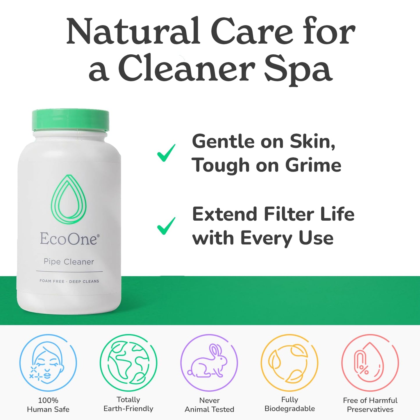 ecoone Filter Cleaner All-Natural Spa & Hot Tub Filter Cleaner | Foam-Free, Chlorine-Free, & Phosphate-Free Spa Filter Cleaner | Prolongs Filter Life and Leaves No Residue, 8 Oz