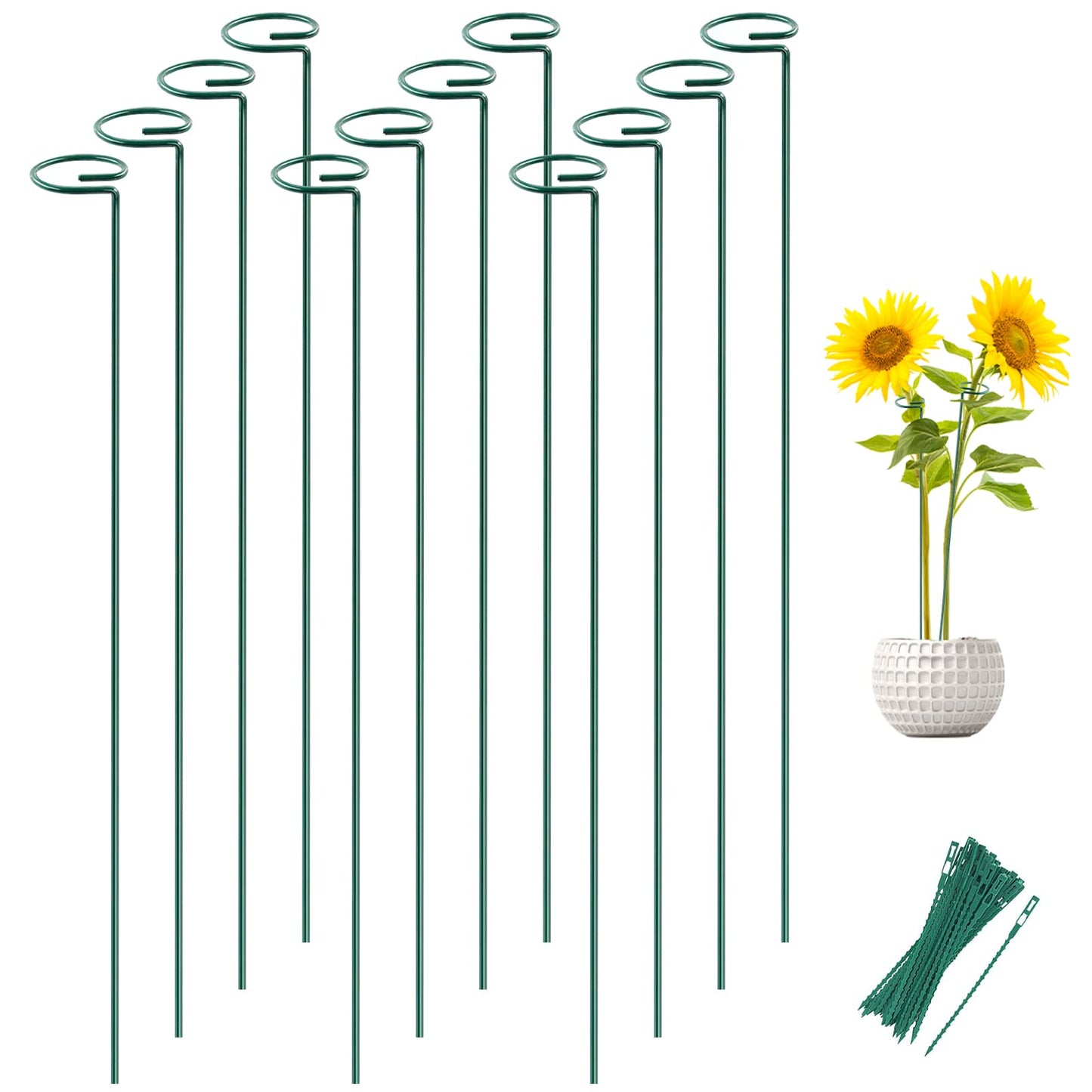 Joyhalo 12 Pack Plant Support Stakes 36 Inches, Plant Stakes, Flower Stakes with 24 Twist Ties, Garden Sticks for Plants Hibiscus, Sunflower, Red Hot Poker, Hydrangea, Tomato, Sapling Etc