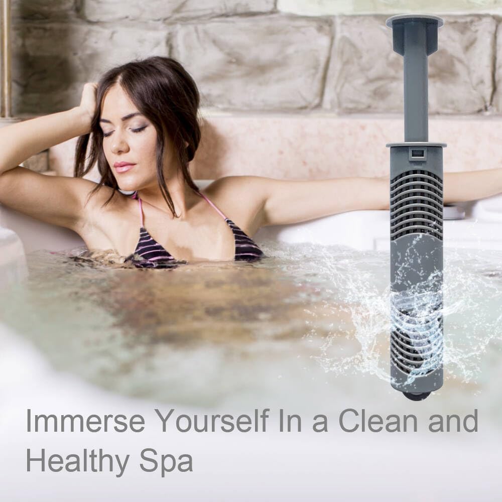 Silver Ion Cartridge for Hot Springs Spa, Hot Tub Silver Ion Cartridge with 4 Months Keeps Spa Water Crystal(Grey,4PCS)