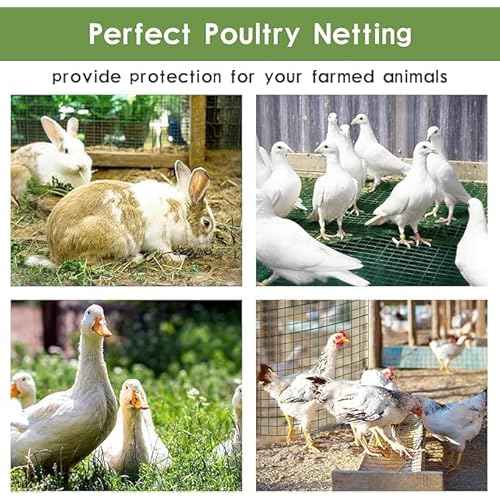 Tongmo 48" x 50' Green Chicken Wire Fencing, 19 Gauge Green Wire Fence, 1"x1" Mesh Size Metal Welded Wire Garden Fence Roll, Poultry Netting for Rabbit/Duck/Chicken