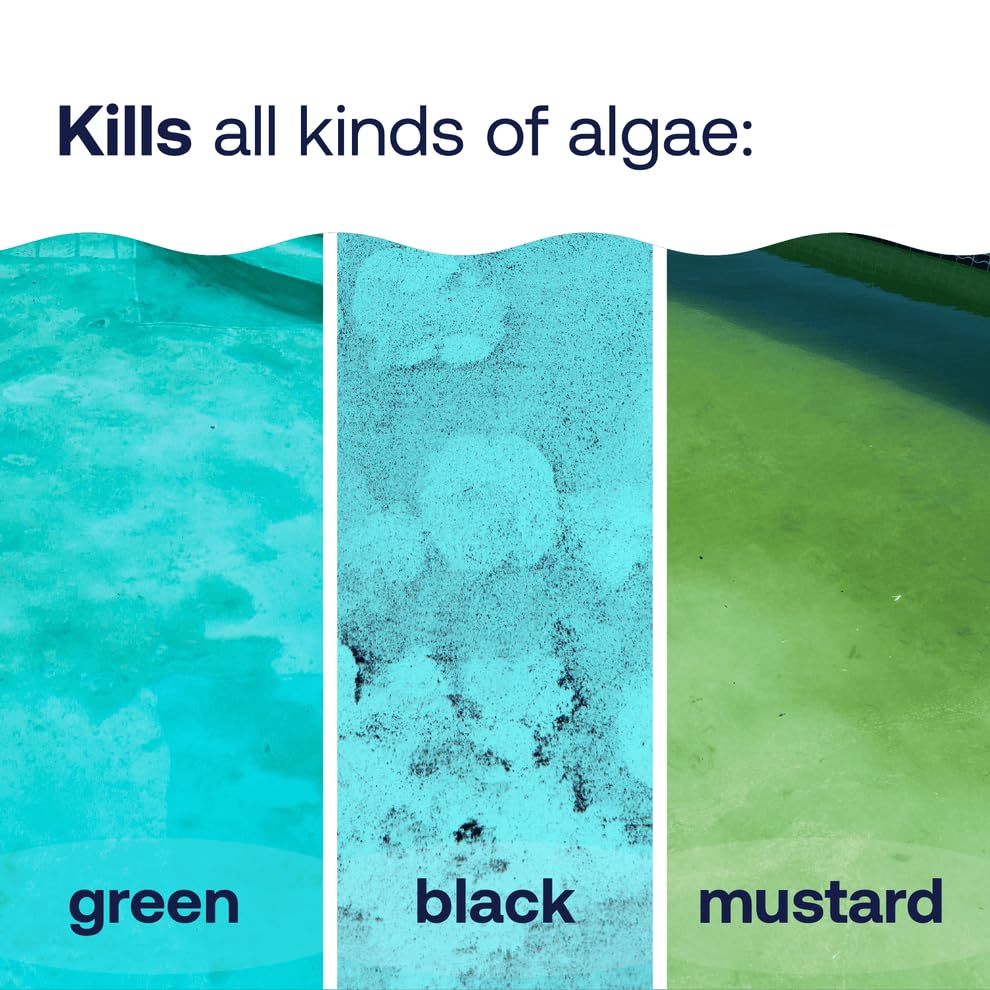HTH 67244 Swimming Pool Care Algae Guard Ultra - Long Lasting Formula, Eliminates & Prevents Green, Black, and Mustard Algae, Fast Acting & Effective Swimming Pool Chemical, 32oz