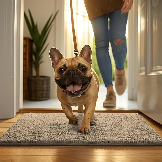 MudGuard Mat™ Dog Door Mat for Muddy Paws, Super Absorbent Microfiber, Non-Slip Indoor Mat, Quick Dry Chenille Mud Mat for Dogs & Entryway, Washable, Beige 16" x 24"