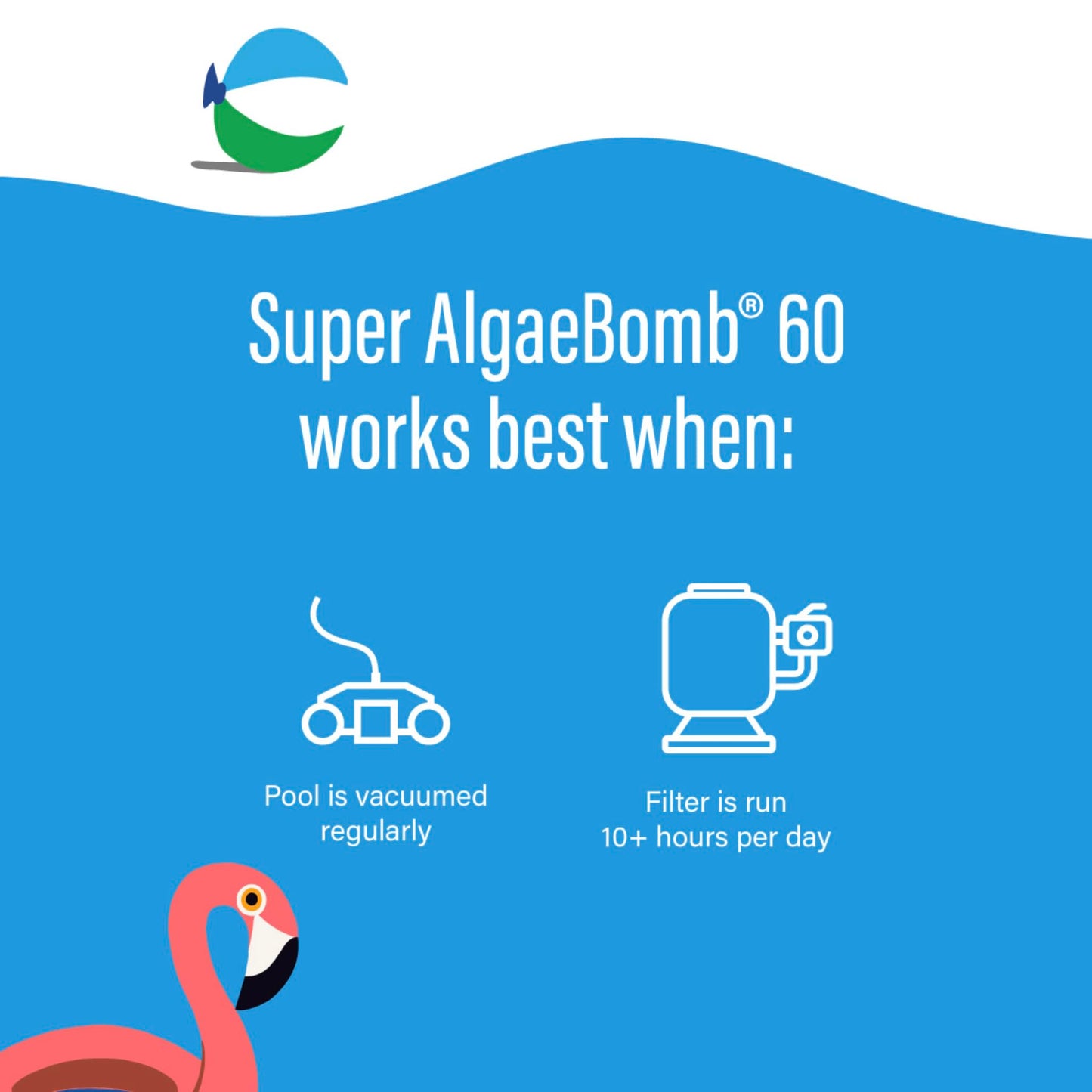 Poolife Super Algae Bomb Polyquat 60 Algaecide - Fast-Acting, Non-Foaming Pool Algaecide for Green, Black, Mustard Algae - Ideal for Spas & Fountains & Winterizing - 1 qt Liquid with Long Protection