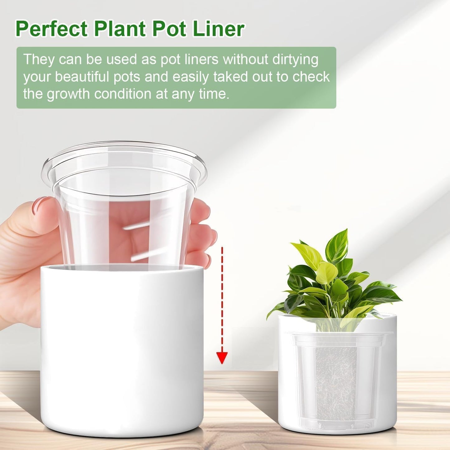 SupKing 6 Inch Clear Nursery Pots,20 Packs Large Plastic Seed Starters Durable Orchid Flower Pots with Drainage Holes for Transplanting Succulents Cuttings Seedlings Bonus 15 Labels