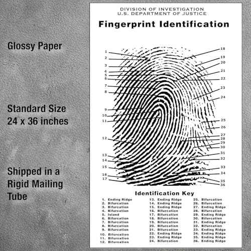 Crime Scene Fingerprint Chart, Poster Size 24" by 36"