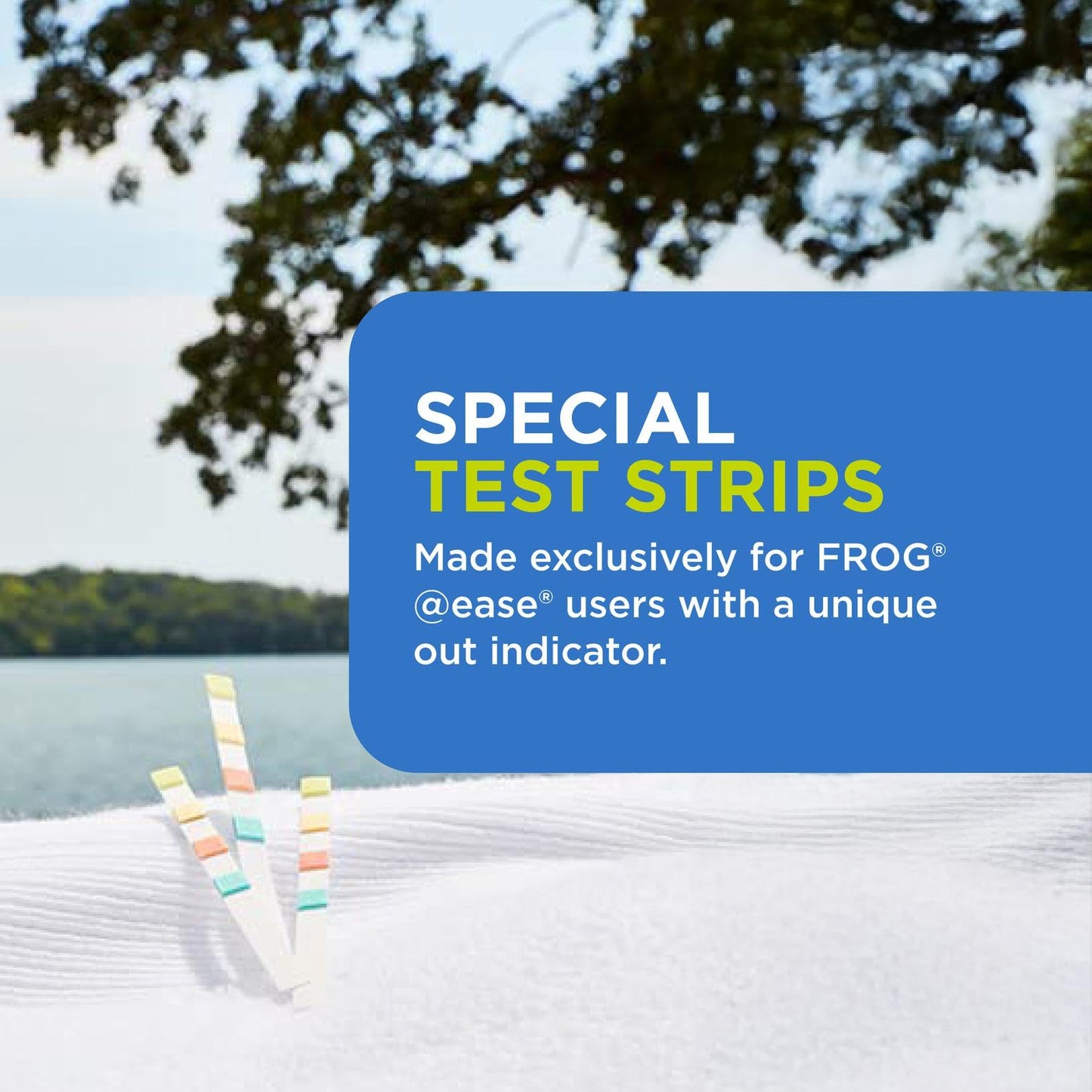 FROG @Ease Test Strips for Hot Tubs and Swim Spas - Test Strip with Out Indicator for FROG @Ease SmartChlor Cartridges, pH, Total Alkalinity and Total Hardness - 60 Test Strips
