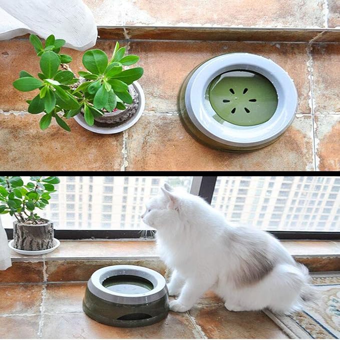 Love Dream No Spill Dog Water Bowl, No Drip Dog Slow Water Feeder No Slip Vehicle Carried Pet Water Dispenser 25 oz with Floating Disk Slow Drinking Bowl for Dogs Cats (Army Green)