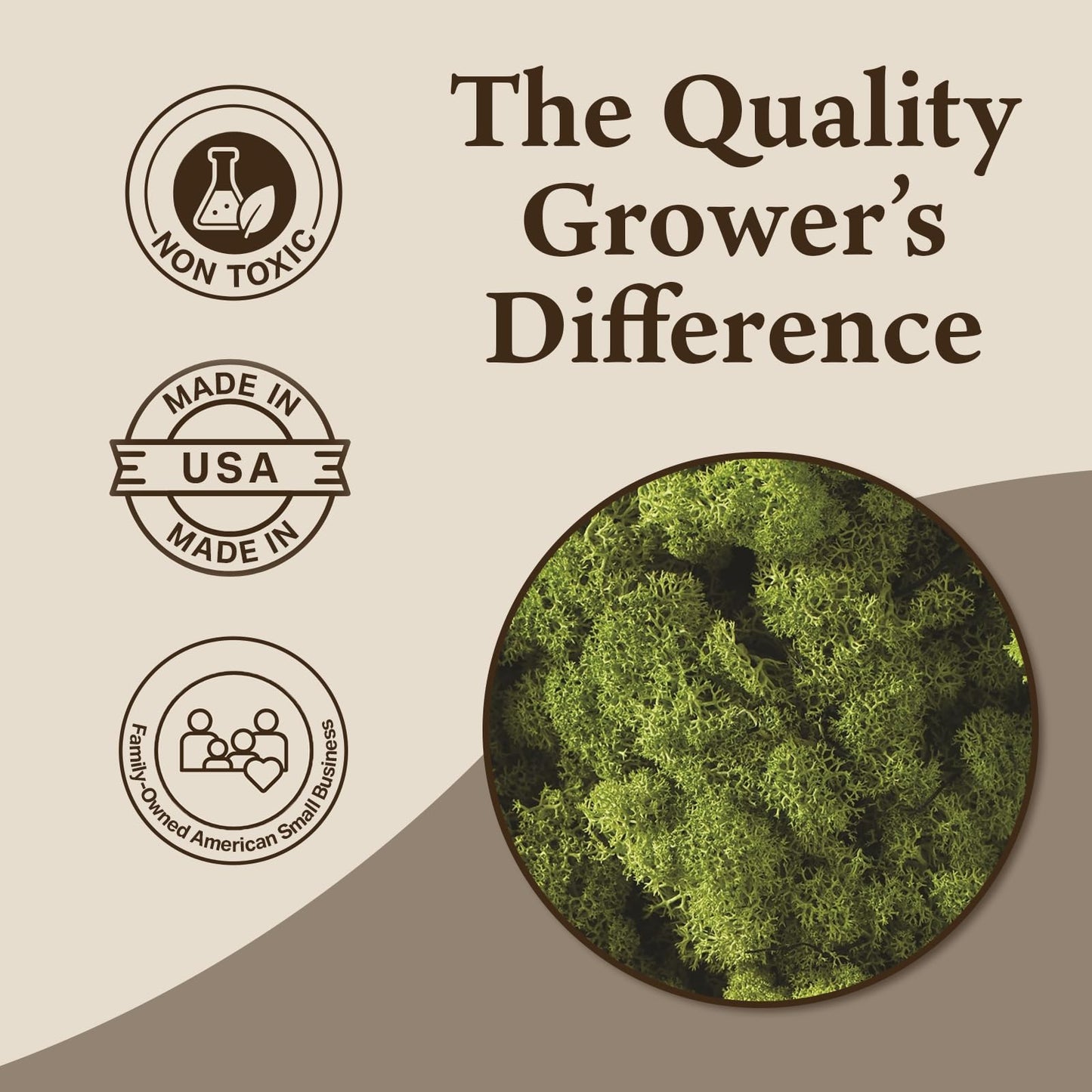 Quality Growers - Preserved Reindeer Moss - Moss for Crafts, Home Decor, Art, Design & DIY Projects - Non-Toxic - USA Made (Spring Green, Medium, 2-Pack)