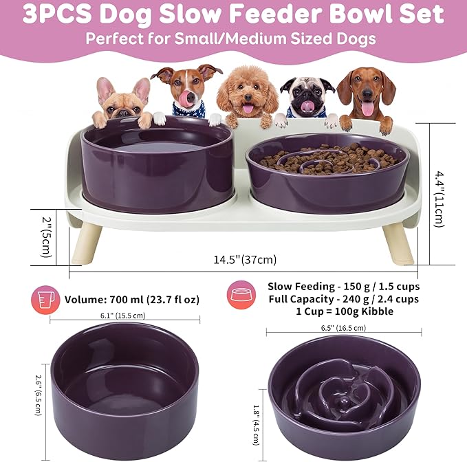 Elevated Slow Feeder Dog Bowls - Ceramic Food and Water Bowl Set with Stand - Raised Pet Dishes for Small and Medium Sized Dogs