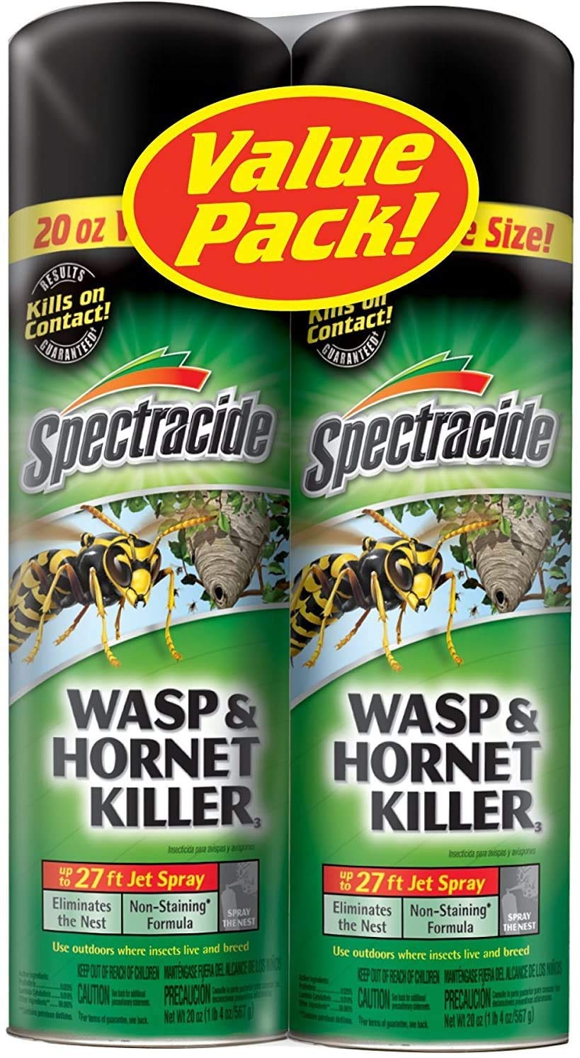 Spectracide Wasp and Hornet Killer Aerosol, 18.5 Ounce, 2-Pack