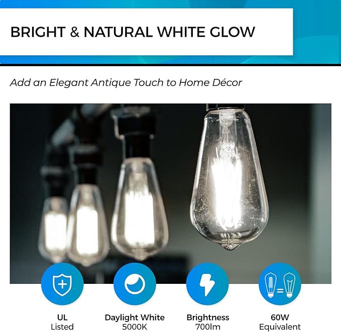 Hizashi Vintage LED Edison Bulb Dimmable, 6W Equivalent 60W, 5000k Daylight, E26 Base Led Light Bulbs, 700LM, High CRI 95+ Eye Protection, Clear Glass, Pack of 12