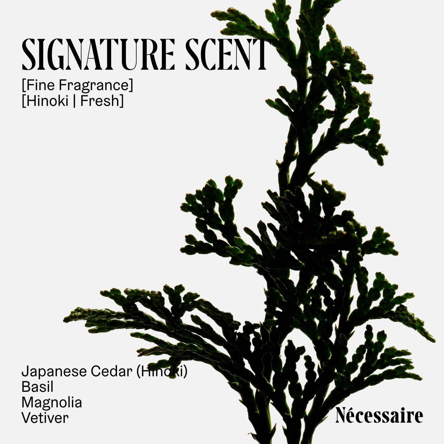 Nécessaire The Body Wash Hinoki. Multi-Oil Shower Gel Body Wash for Women + Men. Non-Comedogenic + Hypoallergenic for Sensitive Skin with Niacinamide. 500ml/16.9 fl oz