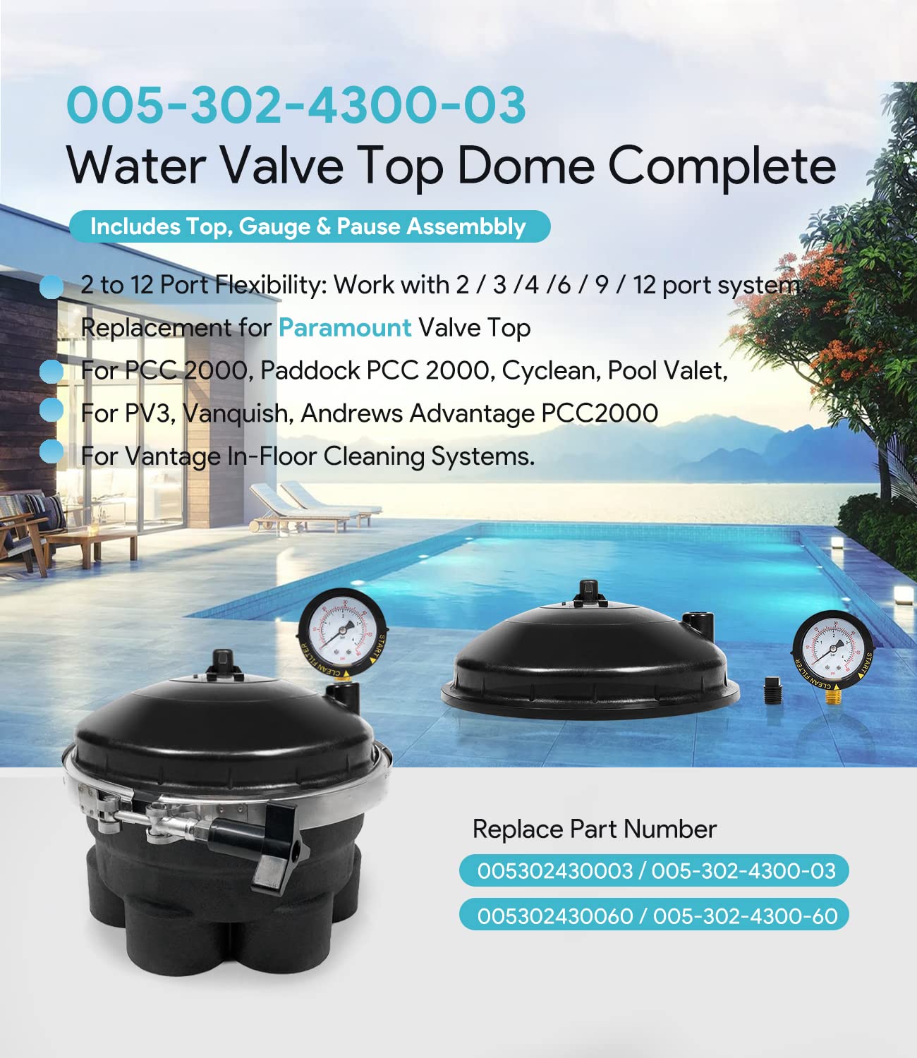 005-302-4300-03 Replace for Paramount Water Valve Top Dome Complete Assembly with Gauge and Pause