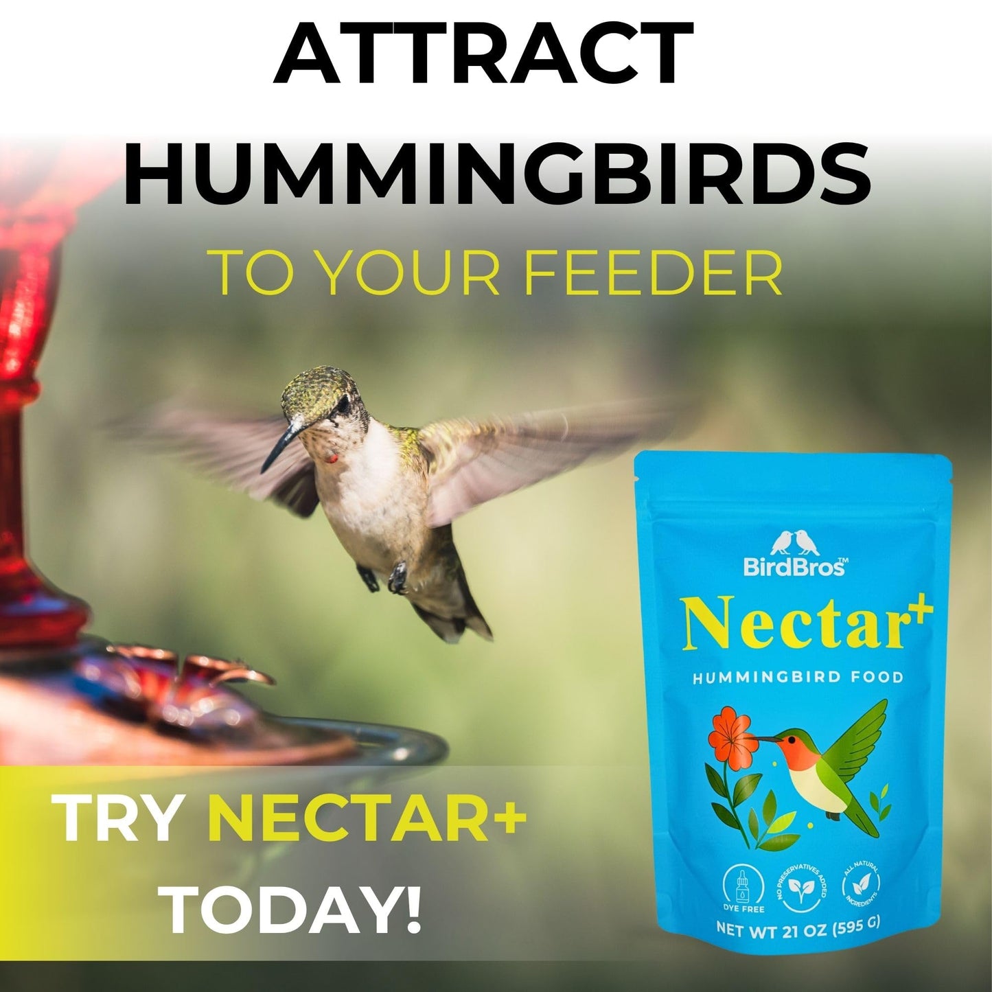 BIRDBROS Hummingbird Nectar Powder Nectar+ Hummingbird Food for Feeders – All-Natural, Dye-Free, No Boil, Easy Mix – Pure Cane Sugar, Hummingbird Feeder Refill, Made in USA – Makes 96 oz