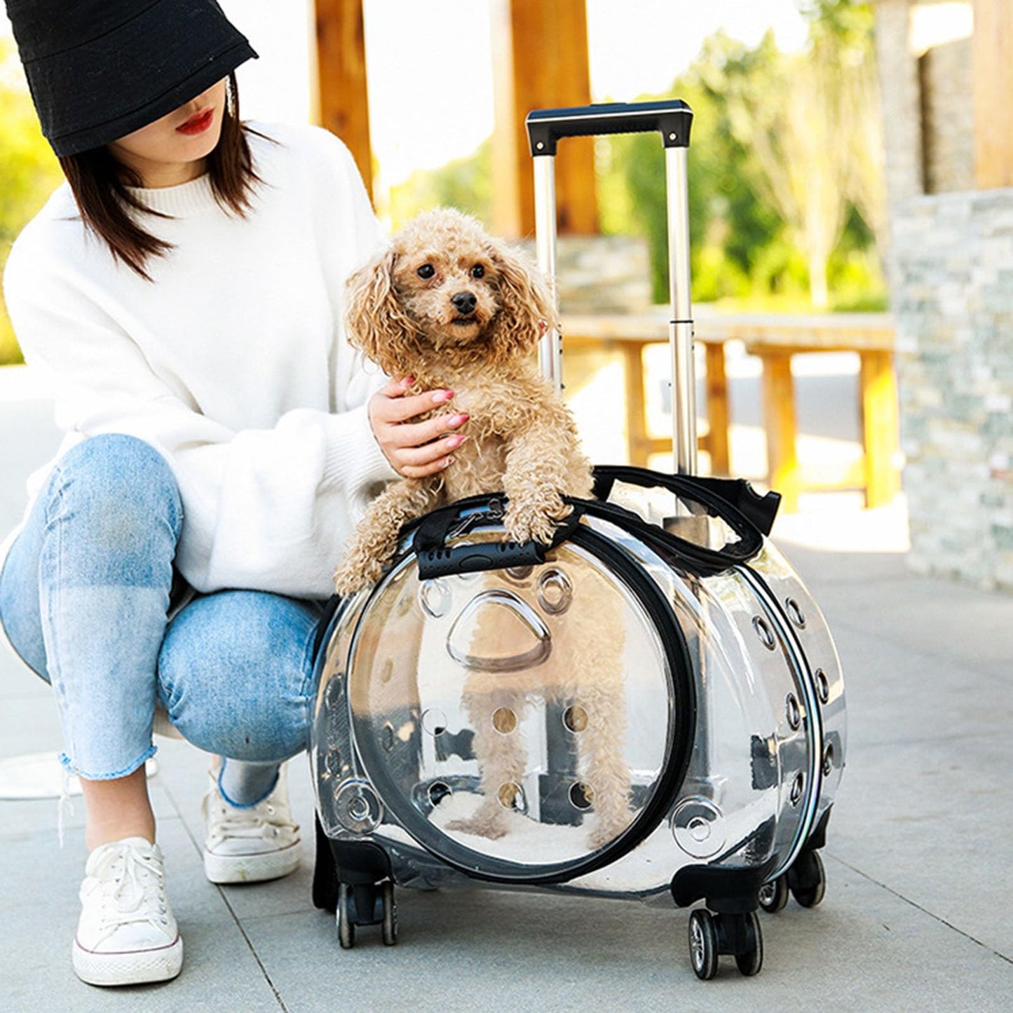 gihusrzx Pet Trolley Case with Upgraded Detachable Silent Wheels, Clear Ventilation Holes Cat Dog Carrier, Cat Dog Carrier with Telescopic Handle, Perfect for Traveling/Taking a Walk Black