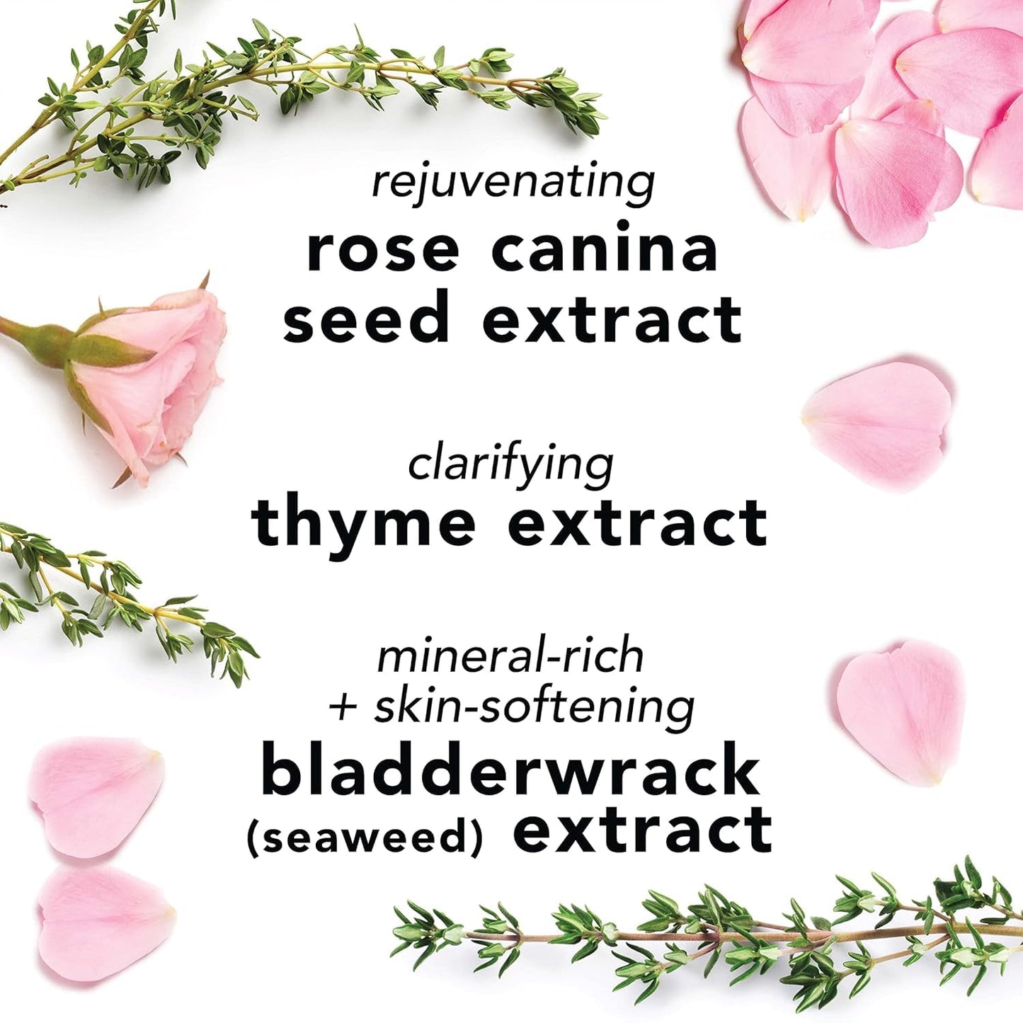 Mario Badescu Rose Water Facial Spray & Honey Moisturizer Bundle | Hydrating Aloe, Herbs & Rosewater Face Mist + Honey-Infused Face Cream for Dry, Sensitive & Combination Skin | Nourishing Daily Moist