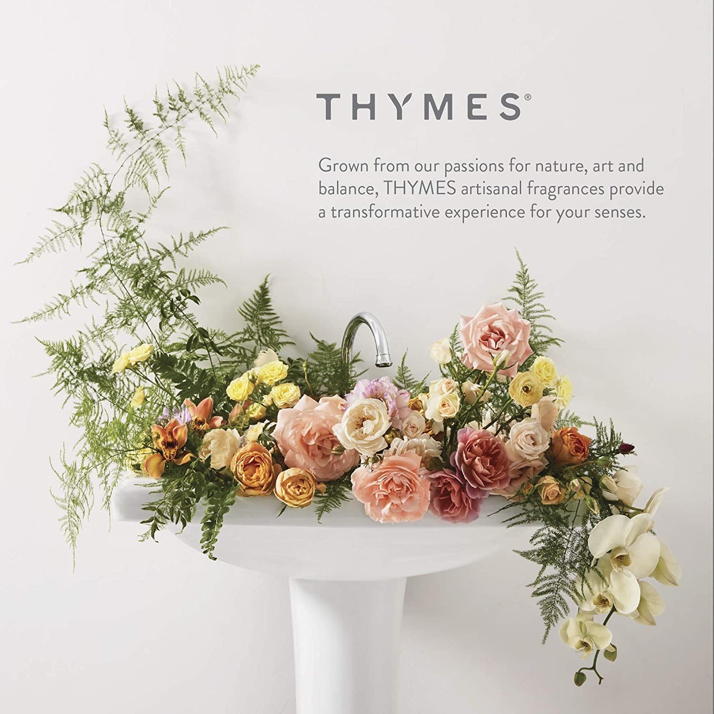 Thymes Scented Candles for Women & Men – Tin with Lid – Luxury Home Decor – Holiday Candles with Notes of Crisp Siberian Fir Needles, Cedarwood, & Sandalwood (Frasier Fir, 6.5 oz)