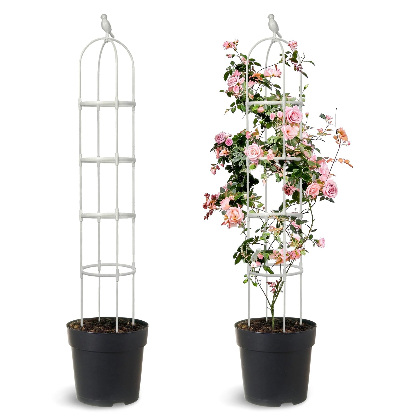 2 Pack Trellis for Climbing Planting Outdoor, 6ft Plant Trellis-Rustproof Metal Pipe with Heavy Duty Plastic Coated, Potted Plant Support for Clematis Vine Jasmine Support (White, 2 Pack)