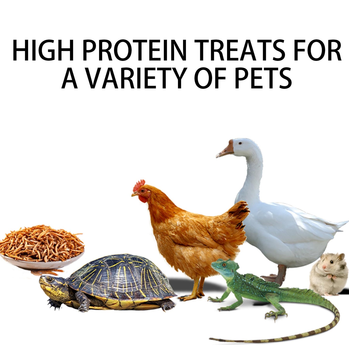 I LOVE WORMS Dried Mealworms (5lb), Wild Bird Food, High-Protein Mealworms for Bluebirds, Chickens, Ducks, Reptile, Tortoise, Amphibian, Lizard
