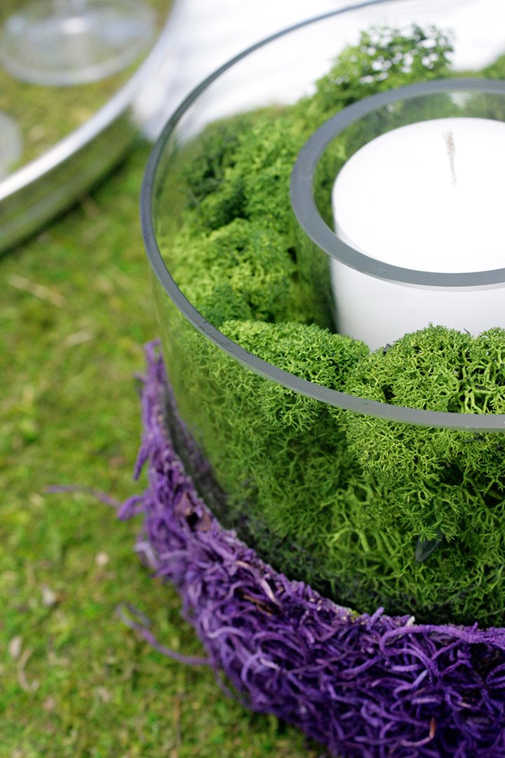 Super Moss (21499 Reindeer Moss Preserved, Forest Green, 10lbs