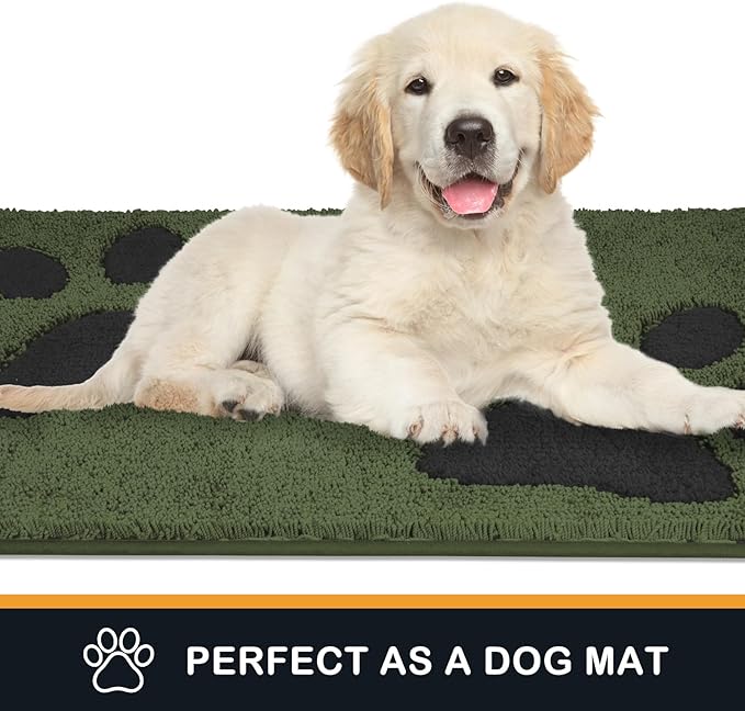 PURRUGS Dirt Trapping Door Mat 33.5" x 59", Non-Skid/Slip Machine Washable Microfiber Entryway Rug, Dog Doormat, Super Absorbent Welcome Mat for Muddy Wet Shoes and Paws, Green